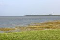 IMG_2146K