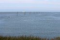 IMG_2154K