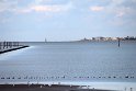IMG_2414K