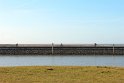 IMG_2890_A
