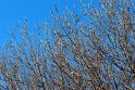 IMG_3305_A