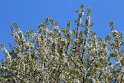 IMG_3756_A