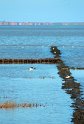 IMG_3840_B