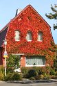 IMG_4305_B