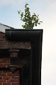 IMG_1443