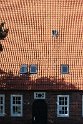 IMG_2124