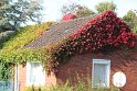 IMG_2292
