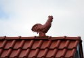 IMG_3255_A