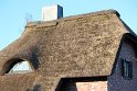 IMG_3344_A