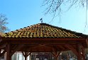 IMG_3469_B