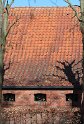 IMG_3507_A