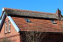 IMG_3541_A