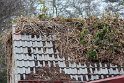 IMG_3570_A