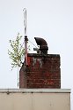 IMG_3711_A