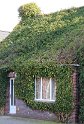 IMG_4401_A