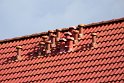 IMG_4999_A