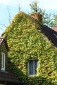 IMG_5038_A