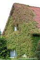 IMG_5129_A