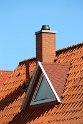 IMG_3600_A