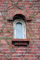 IMG_5378__