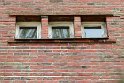IMG_5379_A