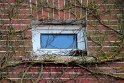 IMG_5383_A