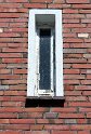 IMG_5524_A