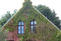 IMG_1287