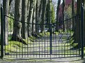 DSC00013_A