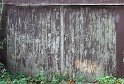 IMG_4261_A