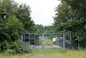 IMG_4974_A