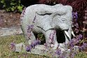 IMG_4130_A