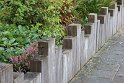 IMG_5138_A