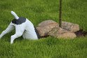 IMG_5476__