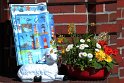 IMG_5542_A