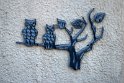 IMG_5298_A