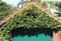 IMG_1278