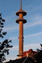IMG_1446