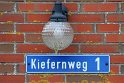 IMG_4496_A