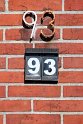 IMG_3225_A