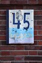 IMG_4262_A