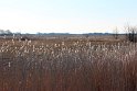 IMG_3321_A