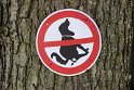 IMG_3001