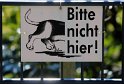 IMG_3503_A