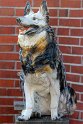 IMG_4396_A