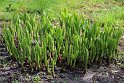 IMG_4888_