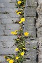 IMG_5405_A