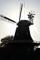 IMG_2617
