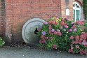 IMG_2619
