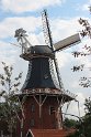 IMG_2286
